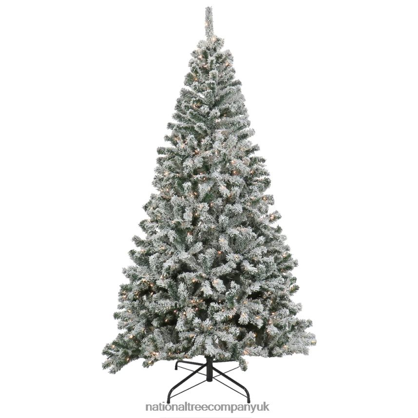 Trees | National Tree Company 75 Feet Pre-lit Artificial Frosted Bonnyville Spruce Hinged Tree 700 Clear Lights- UL F2L4F90